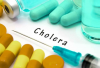 Chad Cholera Death Toll Rises to 13