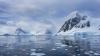 Scientists discover an underwater city of 60 million fish on the Antarctic seafloor