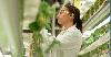 Can indoor farming finally put down roots?