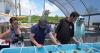 Florida researchers bring endangered elkhorn coral ashore to protect them