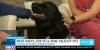 Healthy Living: Full-time Facility Dog joins USA Health Children’s & Women’s Hospital