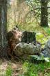 284th ASOS TACP Airmen enhance mission-ready capabilities at Sentry North 26