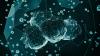 Cell-Therapy Manufacturers Get Creative on Checking Particulates