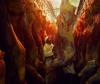 Brazil has already filled 80% of its China beef import quota