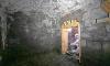 Forensics discover remains of another 22 infants at Irish mother and baby house of horrors site where hundreds of corpses are feared buried