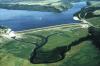 Invasive Zebra Mussels found in...