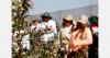 Georgia to host the First International Congress on Blueberry Production Specialization