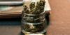Marijuana returns to the ballot box this November; will it stay or be repealed?