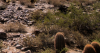 Fire restrictions will be lifted across 8 Arizona counties due to monsoon moisture
