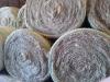 Winter bale grazing bringing benefits to cattle producers