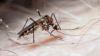 US issues travel advisory amid chikungunya outbreak: The countries affected, symptoms to watch for, and how travellers can protect themselves