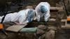 Remains of 22 more babies increases total found at Irish site to 99: authorities