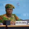 Demand for critical minerals fuels conflict but could help resource-rich nations, says WTO