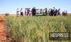 Morocco parliament fails to complete Green Morocco Plan evaluation