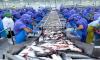 China announces full market access for African inland aquatic products without prior bilateral protocols