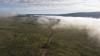 Forest Service OKs cattle in Wyoming allotments with history of grizzly conflict