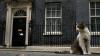 Burnham's hope campaign ends where the Cabinet begins