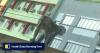 Monkey business on Hong Kong MTR tracks slows rush-hour trains