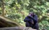 Conserving Sierra Leone’s Western Chimpanzees: Interview With Tacugama’s Willie Tucker