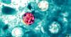 WA health expert explains cyclosporiasis symptoms, safe food practices