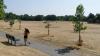 June heatwave cost UK economy more than £1bn, research suggests