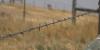 Meade County Sheriff’s Office Reminds Residents: Maintain Fences, Talk It Out Before Calling Deputies