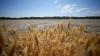 ‘Scorching, dry summers’: Heat rather than lack of rain is now to blame for Europe’s droughts