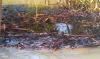 Environmental groups demand swift action over Uzere oil spill