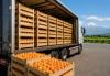 Armenia Exported 7,654 Tons of Apricots Between June 1 and July 19; No Exports Made to Spain or Portugal