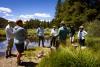Citizen science bioblitz hosted to create more awareness of the Homestake Valley fens