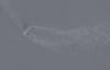 Stricken Greek Product Tanker Appears to Be in Iranian Custody