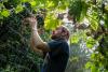 Jury rules against Orkin for spraying pesticide on New Orleans organic farm