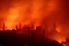 Italy struggles with wildfires, heatwave