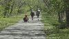 Central Virginia’s bug boom: Ticks, mosquitoes and wasps swarm in warmer weather