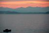 WEST SEATTLE WEATHER: Sunset, with wildlife and raindrops