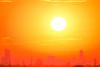 France Heatwave Death Toll Surges Past 5,000 as Health Agency Reveals New Figure Exceeds Estimate