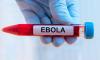 Africa needs $ 1.4 Billion to End Ebola 