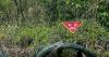 Seoul warns North Korean mines ‘highly likely’ drifted south after rainfall