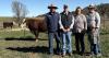 Amos-Vale Herefords proves commercial relevance as repeat buyers and new faces bid up