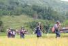 Indigenous Youth Leading the Continuity of Ancestral Knowledge