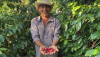 EUDR Provides Massive Challenge to the Vital Honduras Coffee Sector