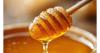 Greek honey sees growth potential in Japan despite small market share