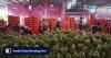 China’s durian imports from Thailand and Malaysia soar as glut pressures growers
