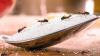 Michelin-Starred Chef Facing Jail Time For Serving Ants To Diners At Restaurant In South Korea