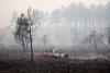France evacuates thousands of tourists as fire rages in pine forest
