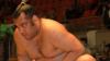 How a Tongan royal decree started a sumo dynasty