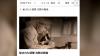 NHK airs documentary exposing crimes of Japanese military Unit 731