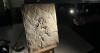 A really 'early bird': USF professor’s reconstruction of Archaeopteryx on display in D.C. museum