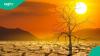 France records 5,764 excess deaths during June 2026 heat wave, worst since 2003