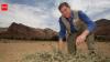 An Australian “forest maker” helped farmers in Niger regrow more than 200 million trees by pruning living stumps, roots and seeds hidden beneath dry land
